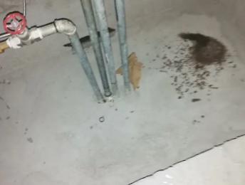 阿图什卫生间测漏水价格明细